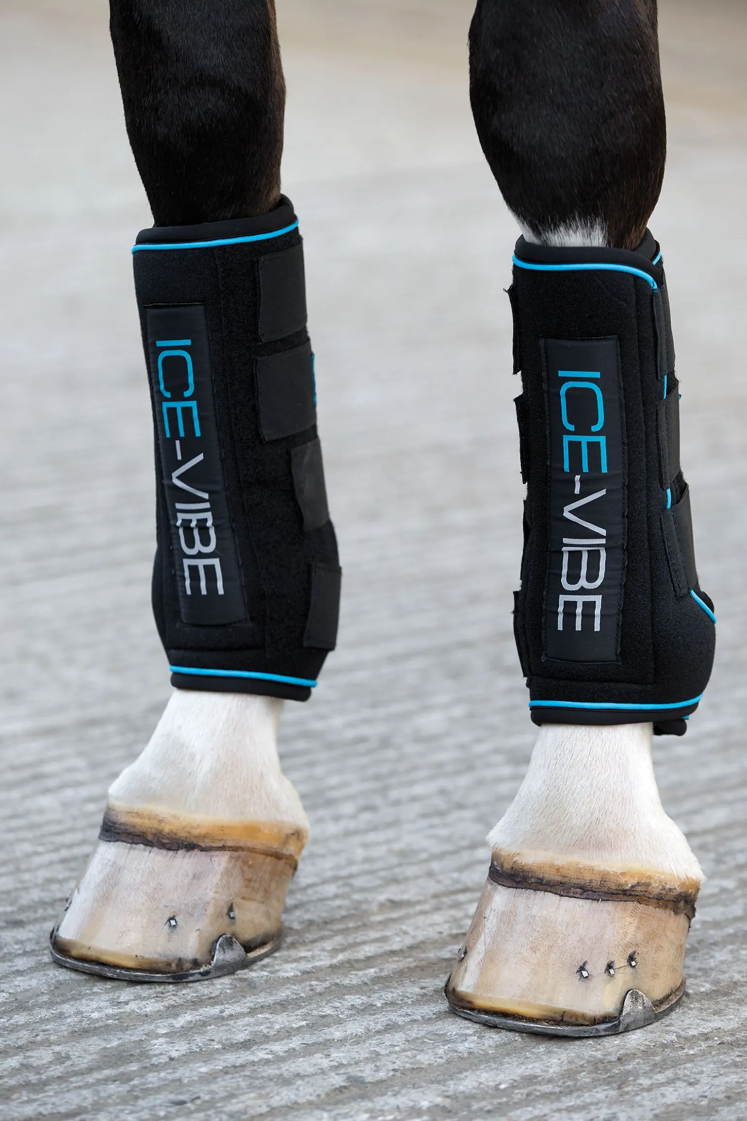 Horseware Ice-Vibe belegg