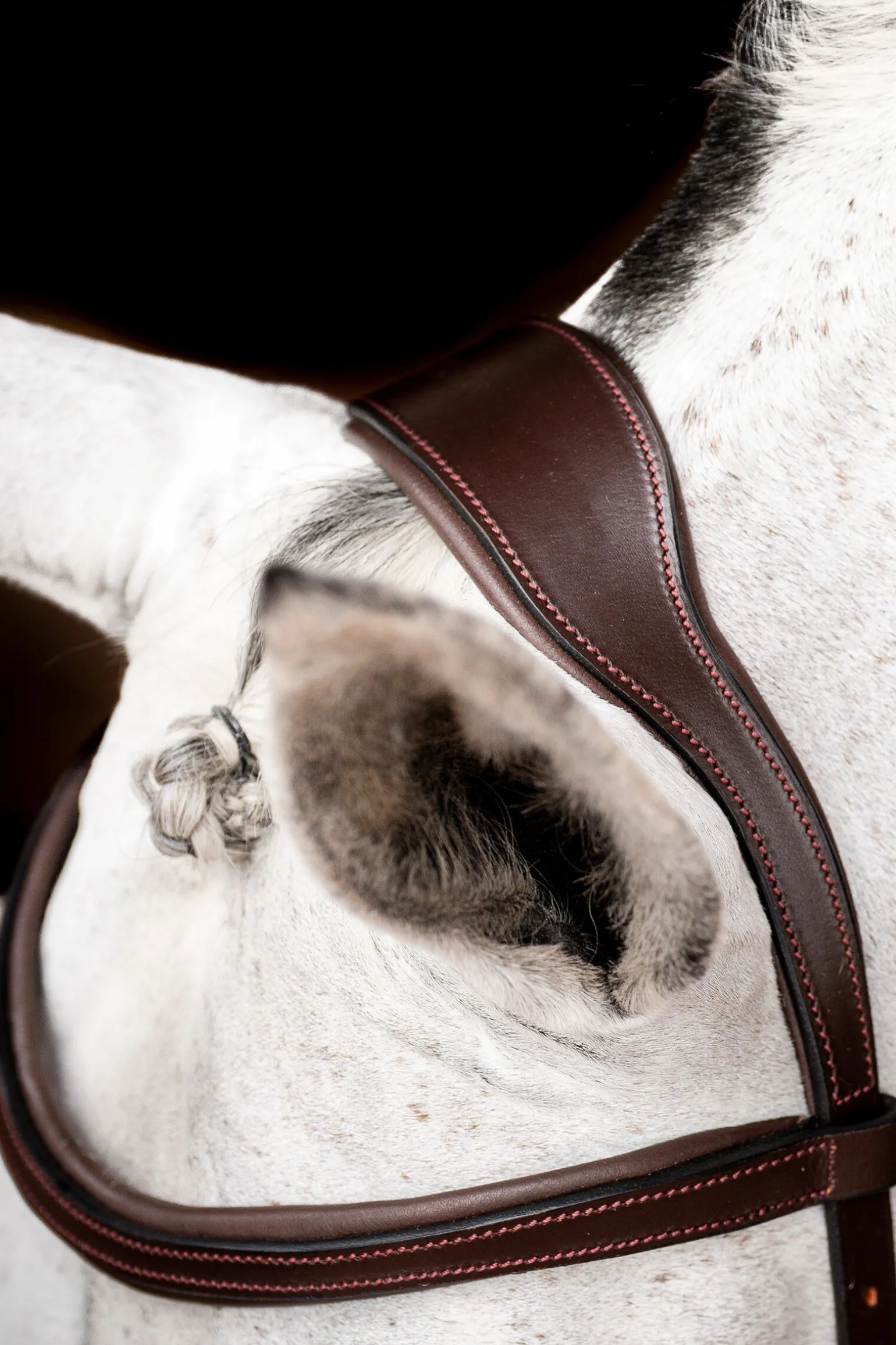 Horseware Micklem 2 Competition hodelag