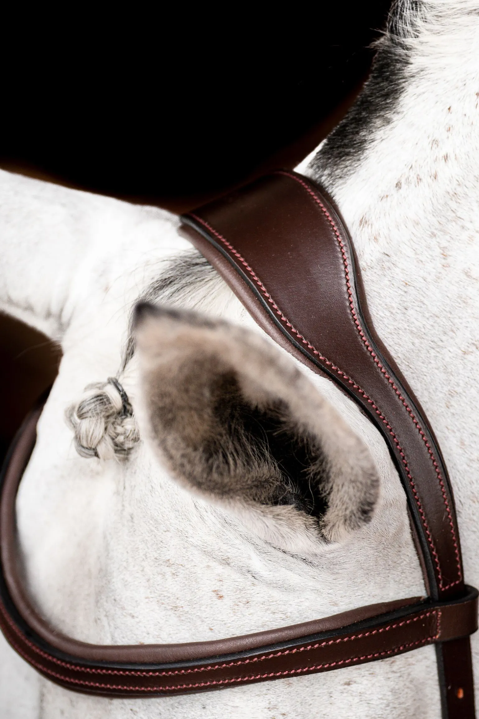 Horseware Micklem 2 Competition hodelag med gummitøyler