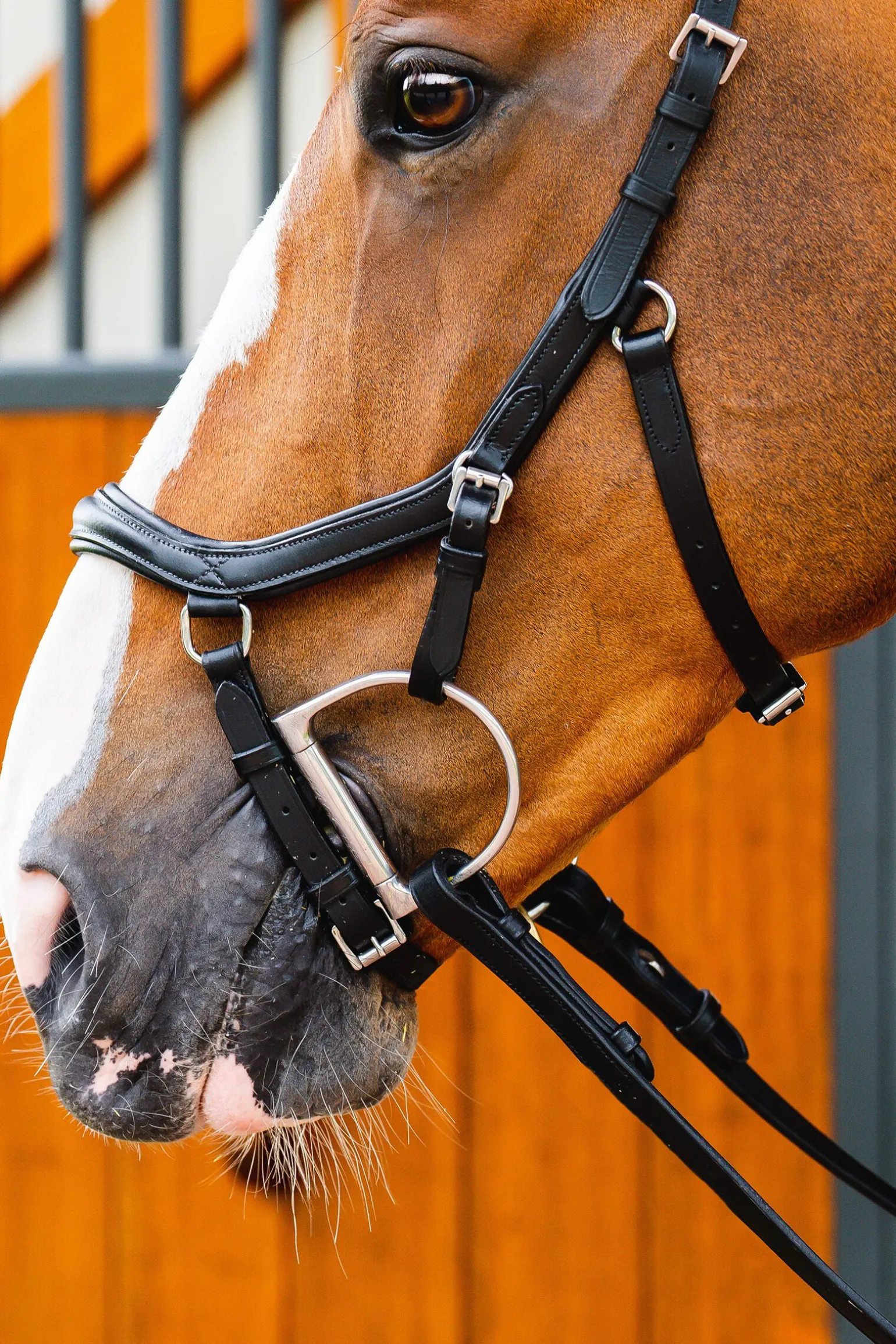 Horseware Micklem 2 Diamante Competition Hodelag