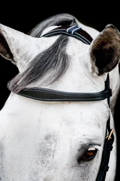 Horseware Micklem 2 Multi Hodelag