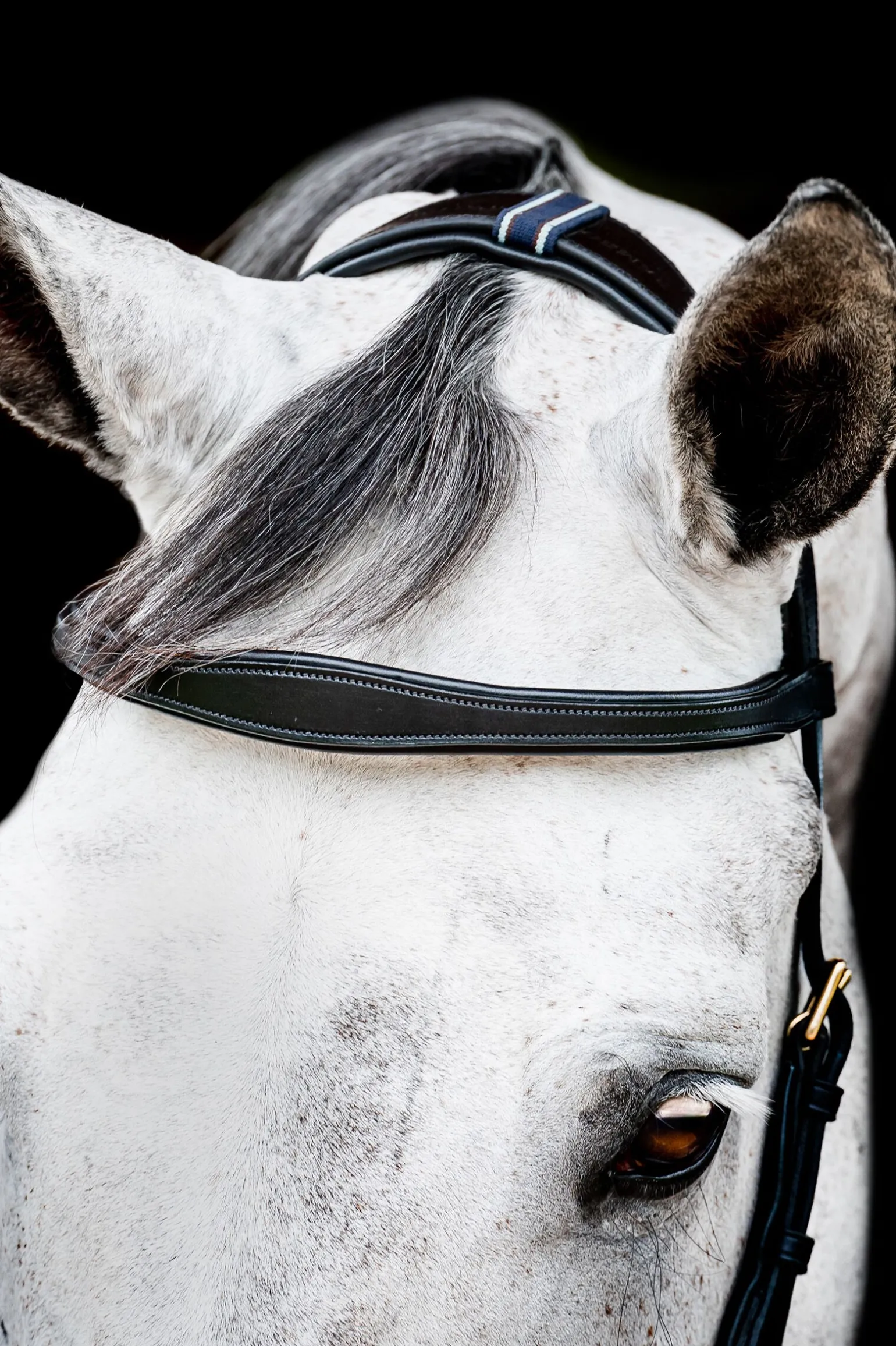 Horseware Micklem 2 Multi Hodelag