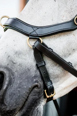 Horseware Micklem 2 Multi Hodelag