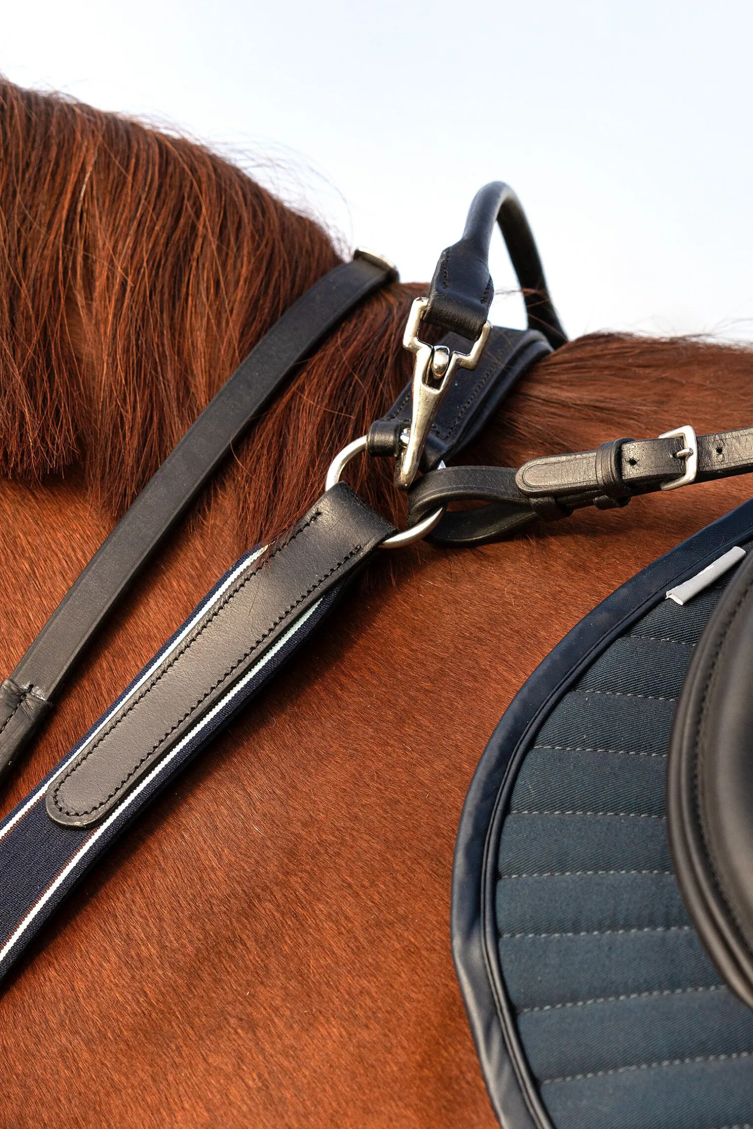 Horseware Rambo Micklem fortøy