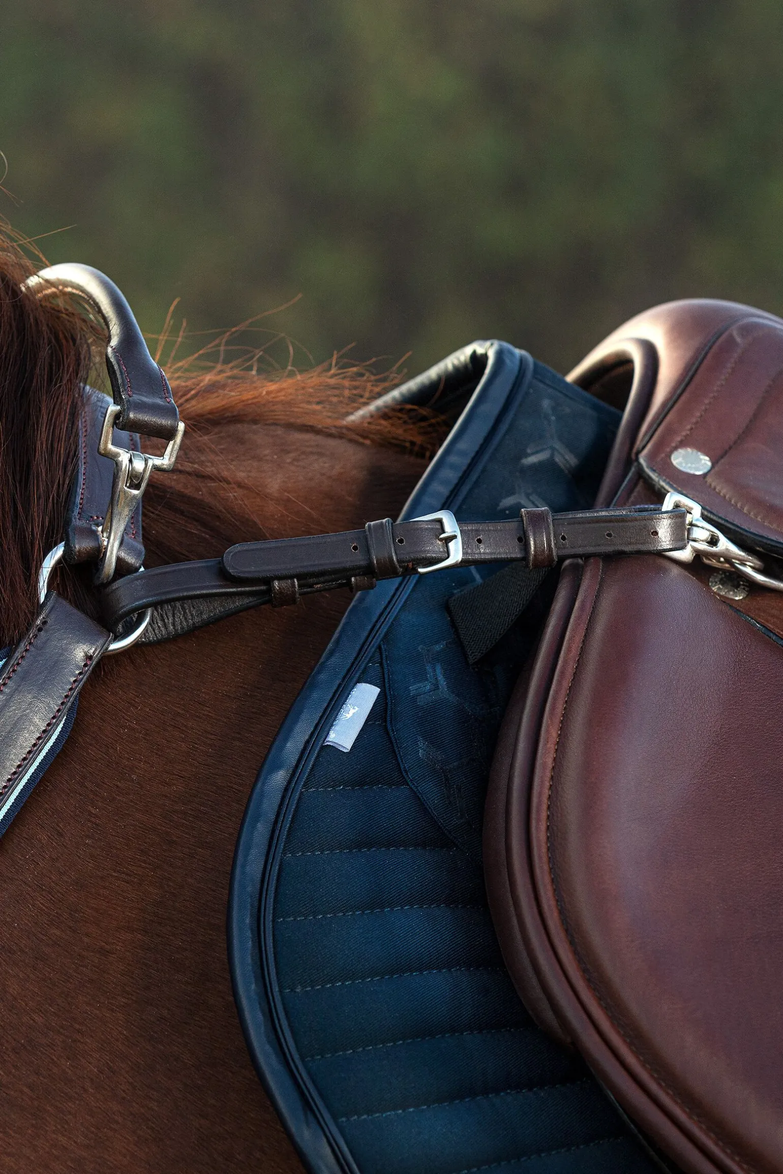 Horseware Rambo Micklem fortøy