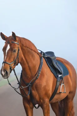 Horseware Rambo Micklem fortøy
