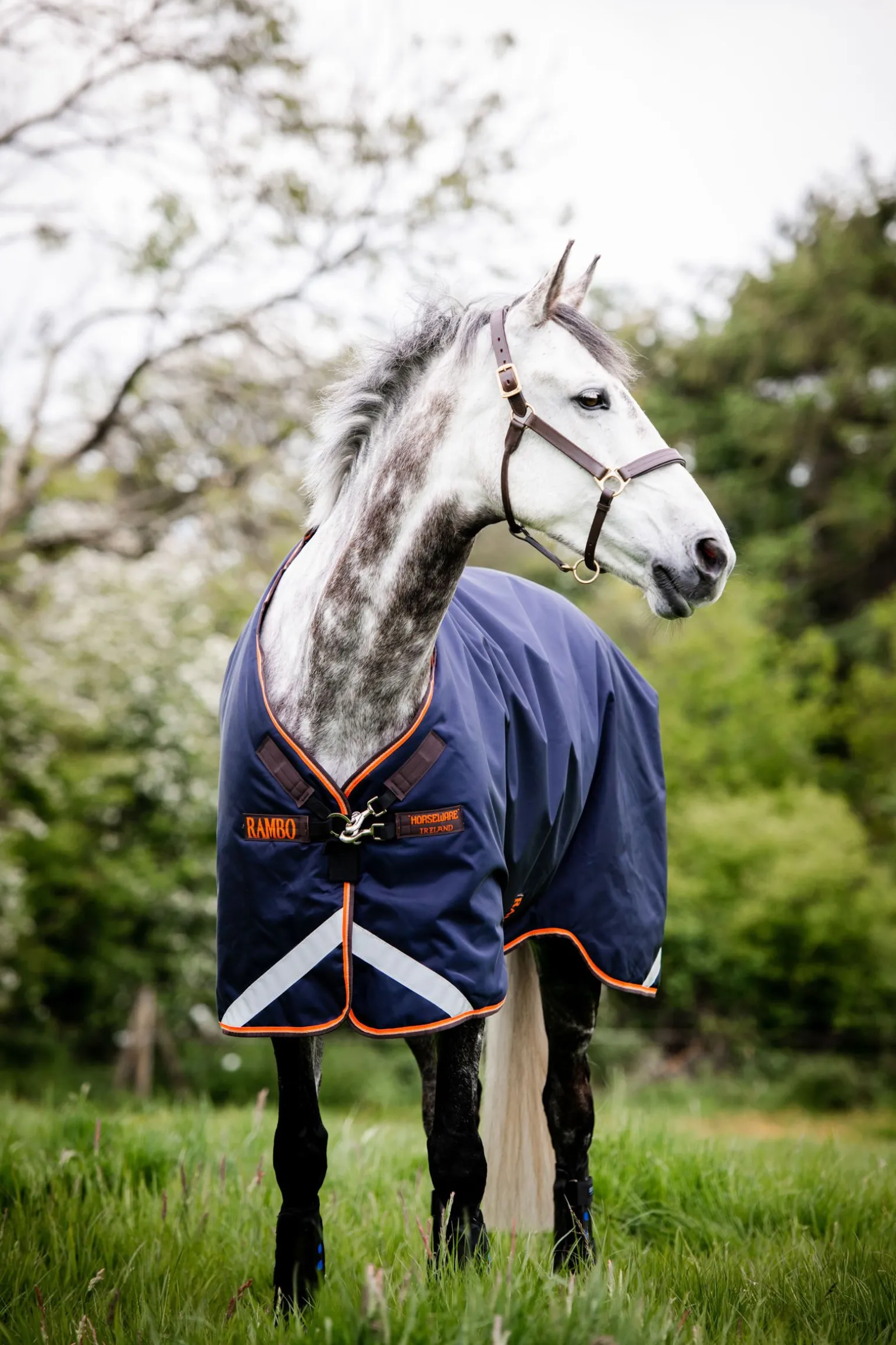 Horseware Rambo Original utedekken med beinbuer, 100 gram