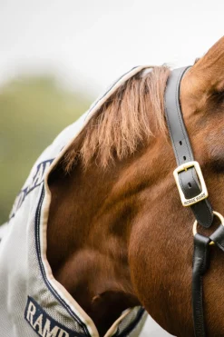 Horseware Rambo Protector fluedekken med avtakbar hals