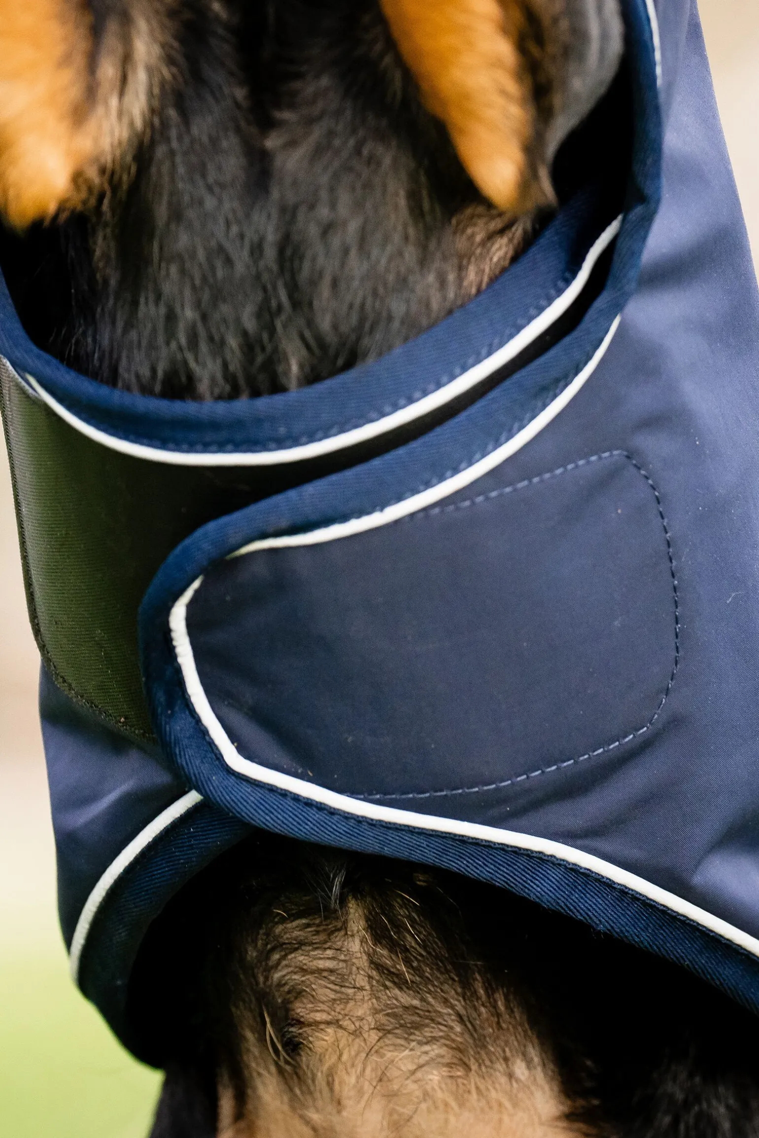 Horseware Signature Hunderegnfrakk