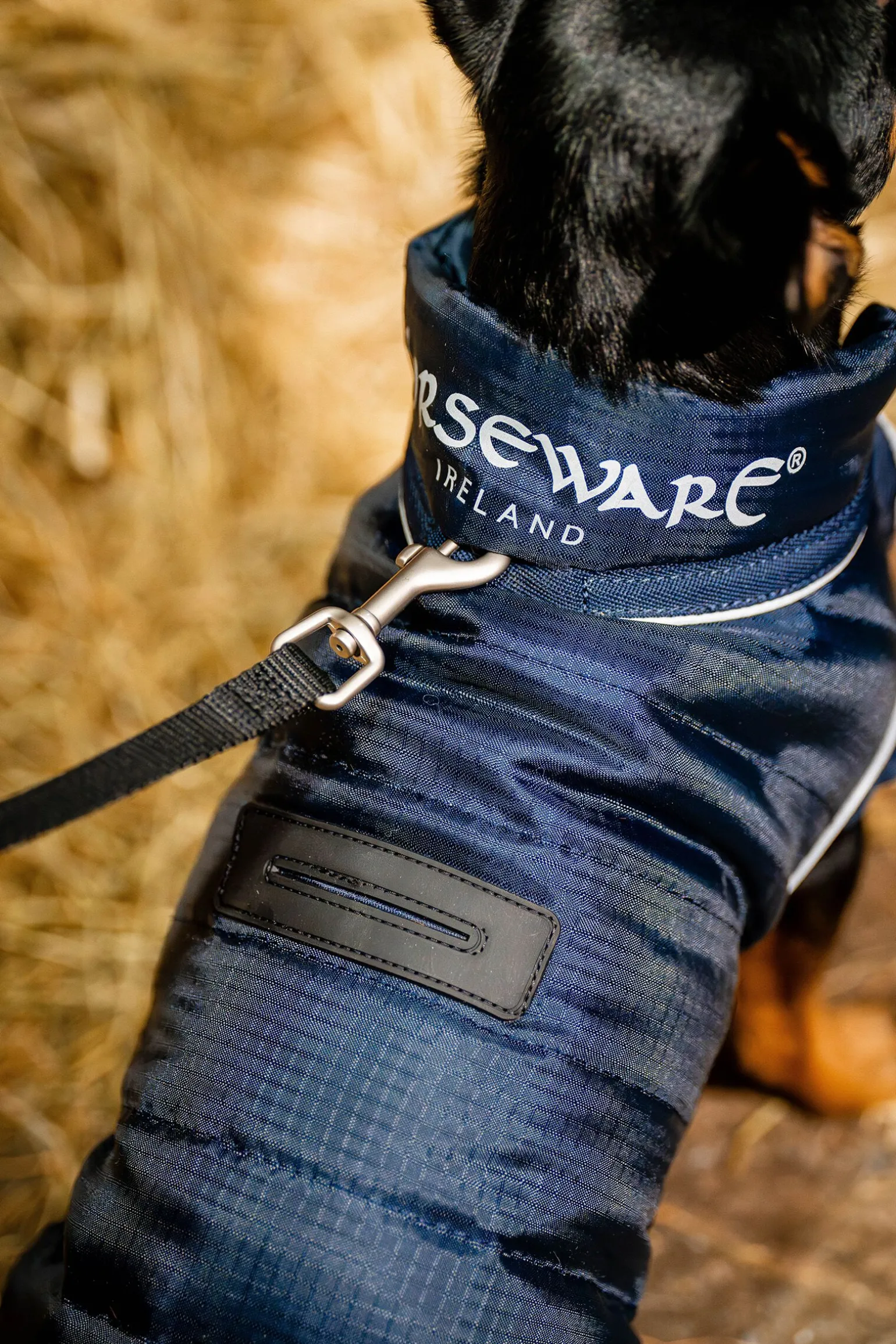 Horseware Signature Hundekappe