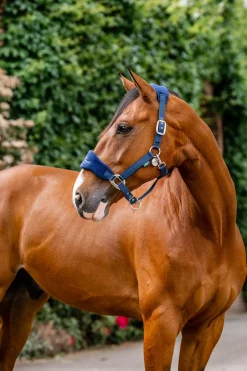 Horseware Signature Pleie Hodebånd