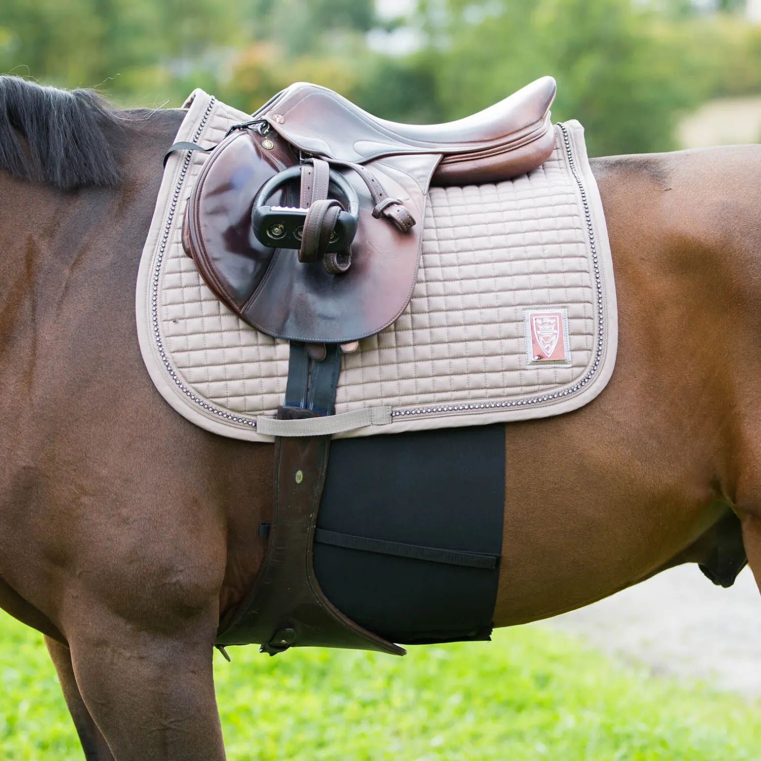 Horze elastisk sporebeskytter