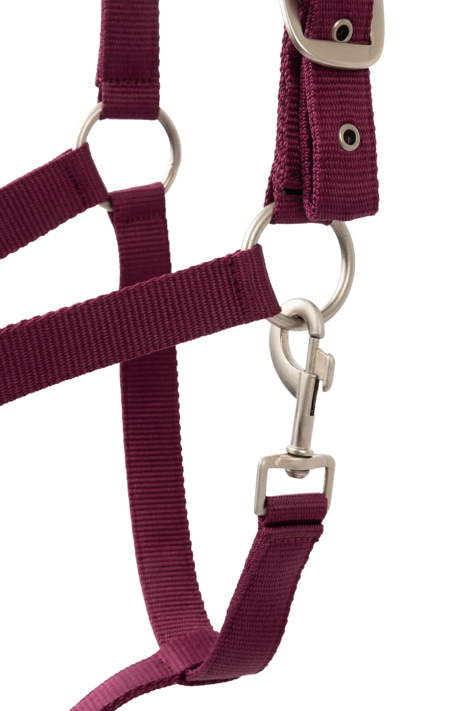 Horze Eternal Gaze Grimesett