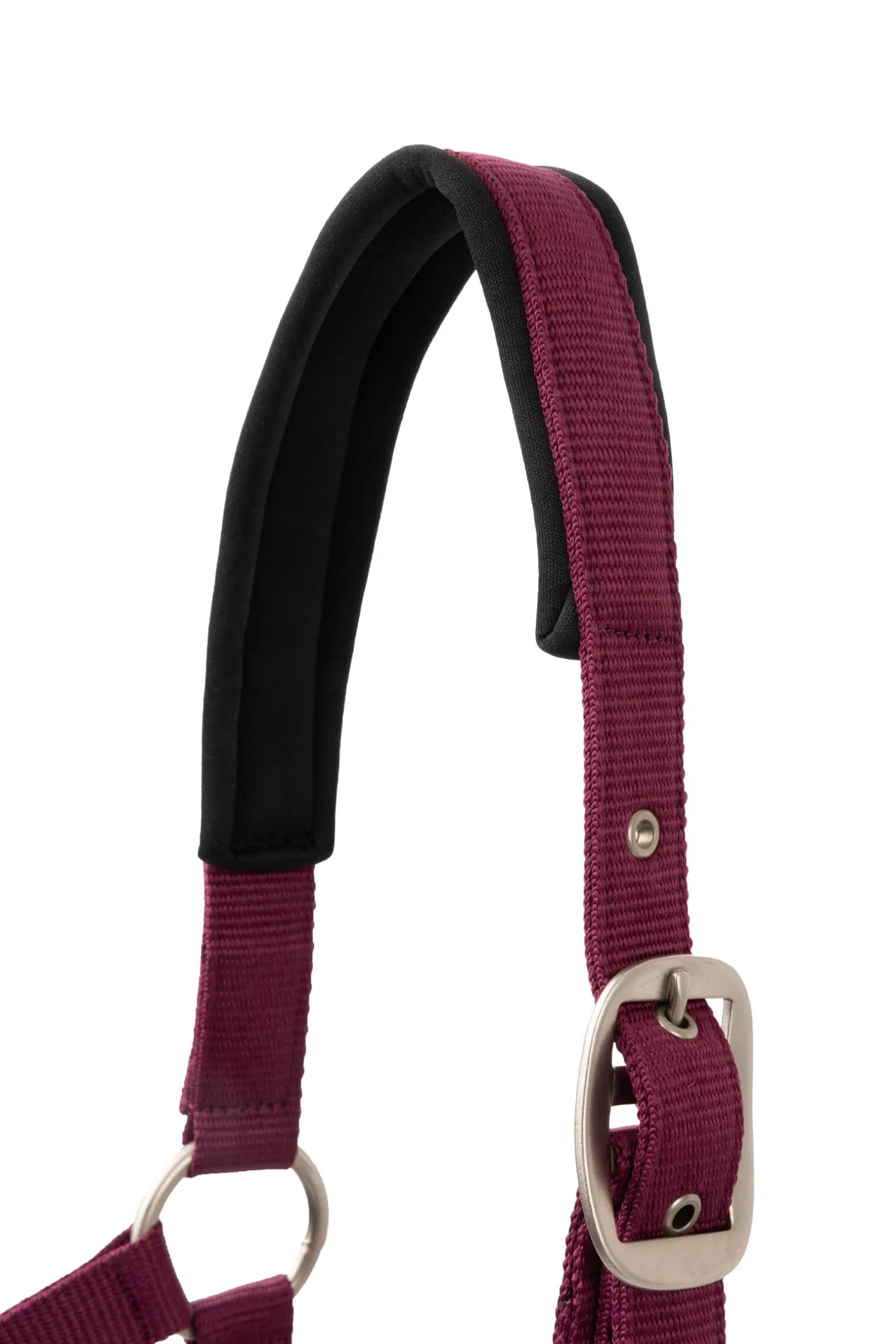 Horze Eternal Gaze Grimesett