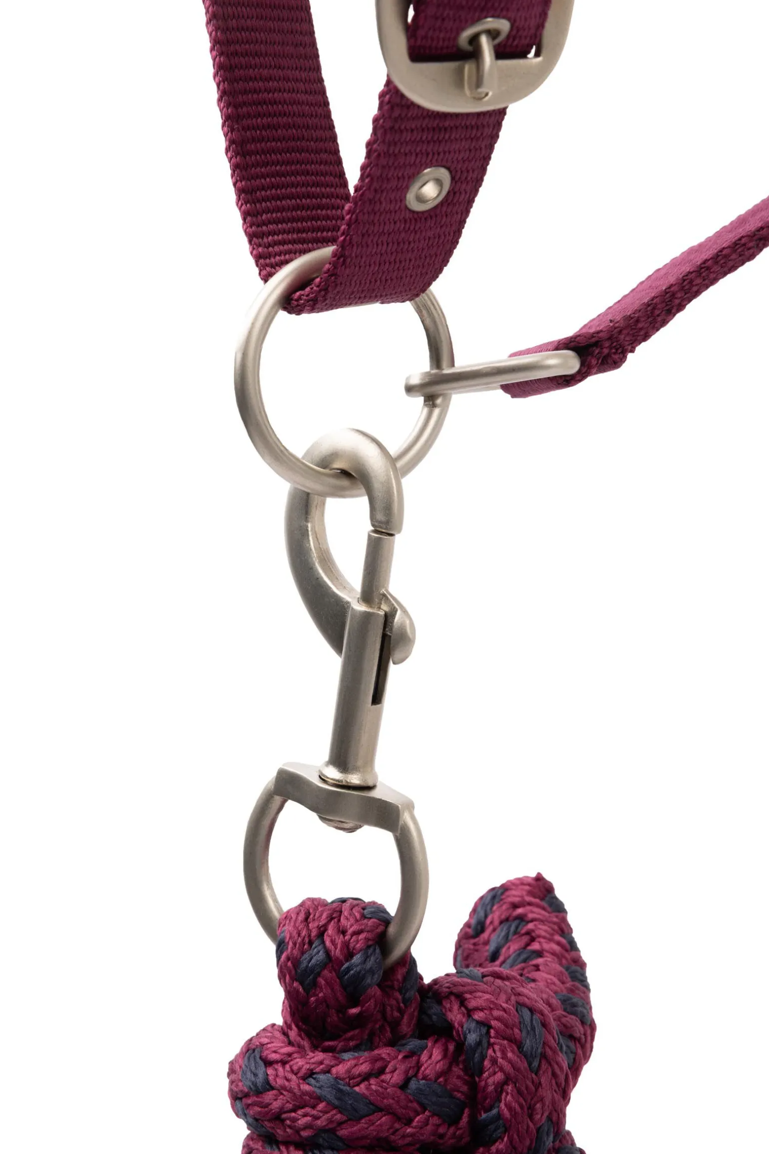 Horze Eternal Gaze Grimesett