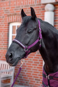 Horze Eternal Gaze Grimesett