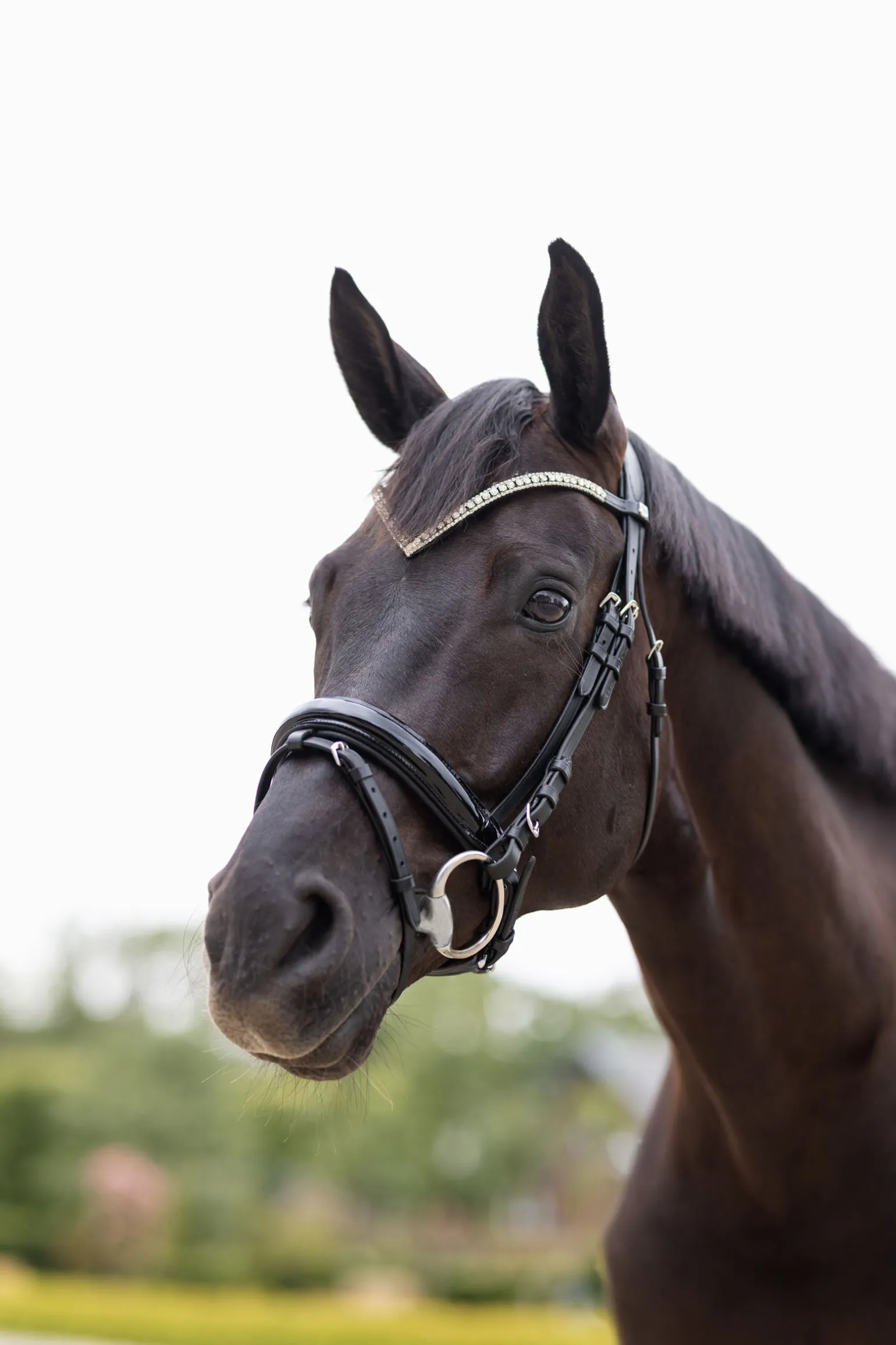 Horze Grayson anatomisk hodelag til trinse