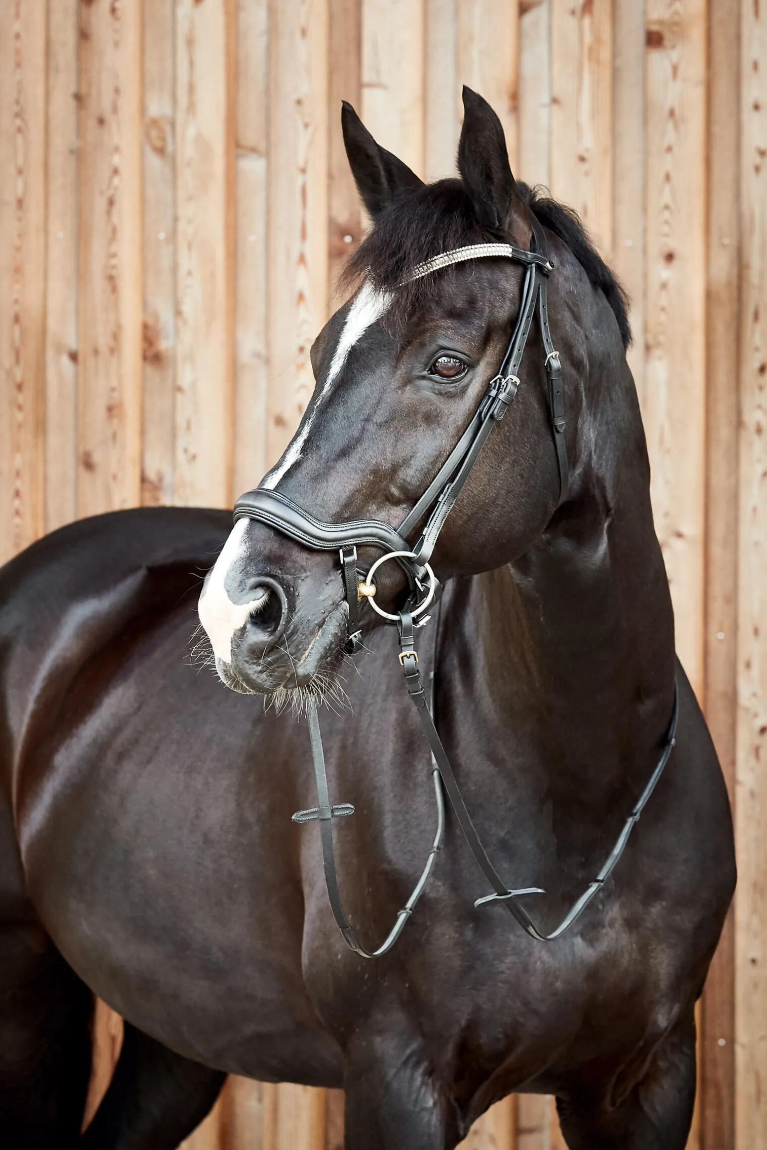 Horze Highbury anatomisk hodelag med krystallpannebånd