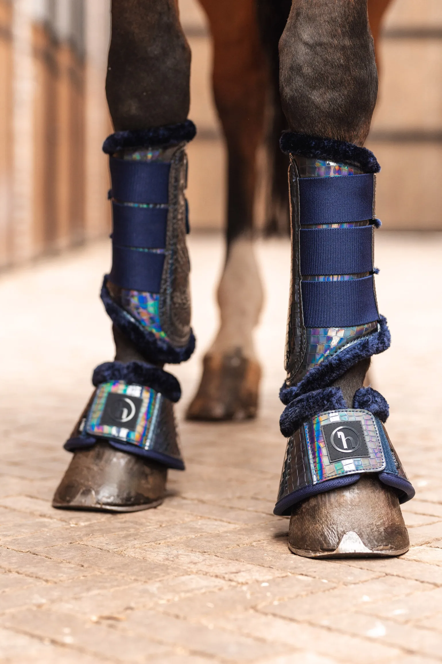 Horze Ice Water Hologram kopper