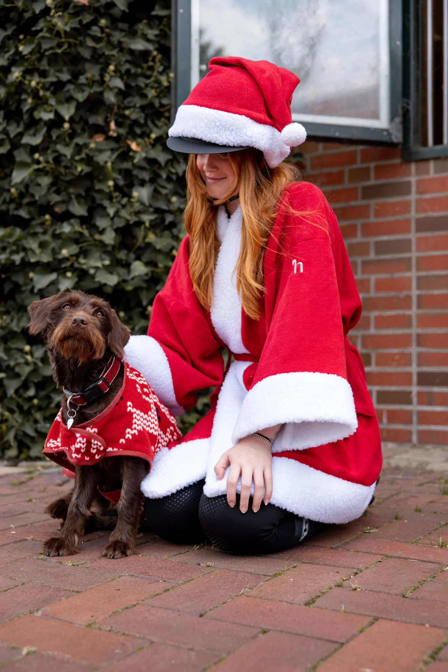 Horze julegenser til hund