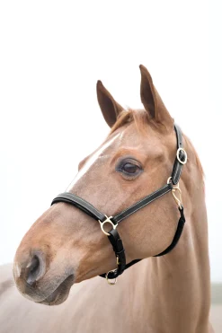 Horze Largo lærgrime