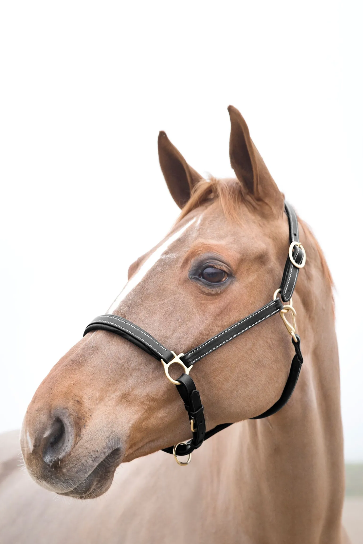 Horze Largo lærgrime