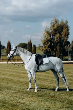 Horze LIMITED EDITION Cooling sjabrak, allround