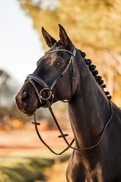 Horze Lockhart anatomisk hodelag