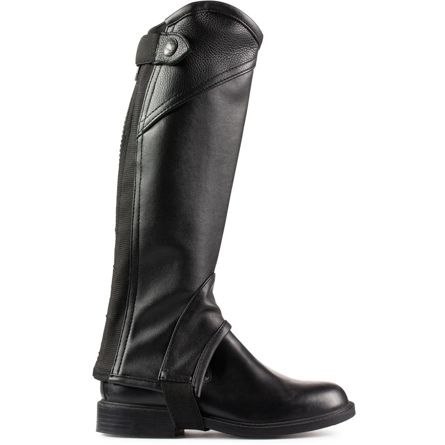 Horze lærchaps, barn