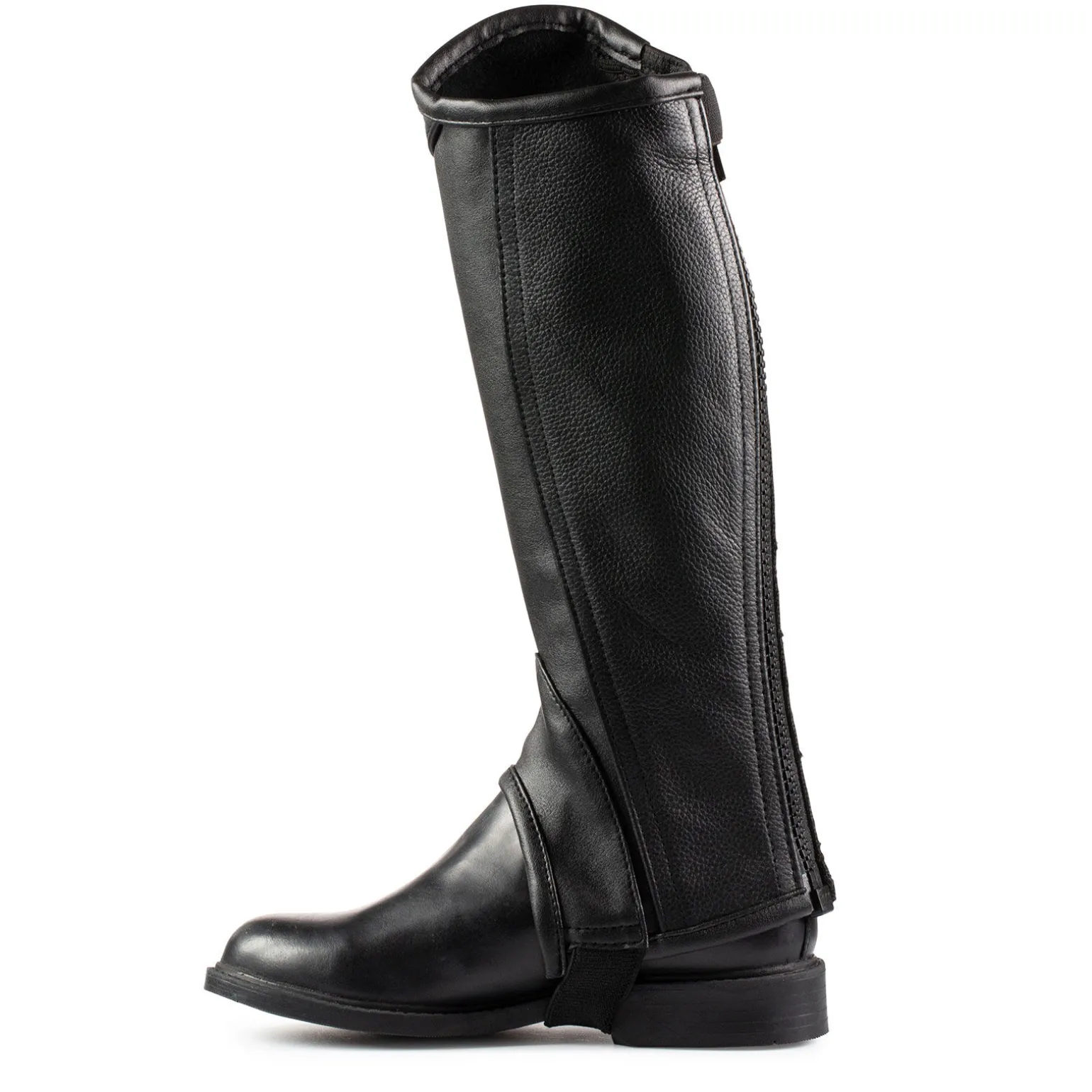 Horze lærchaps, barn