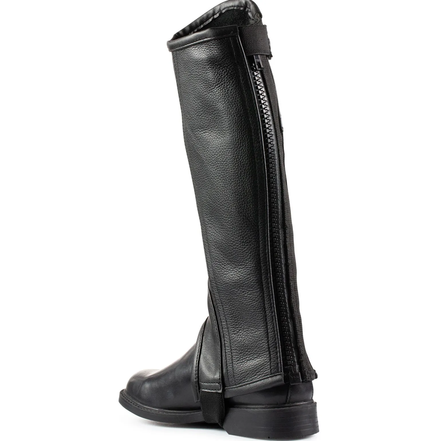 Horze lærchaps, barn