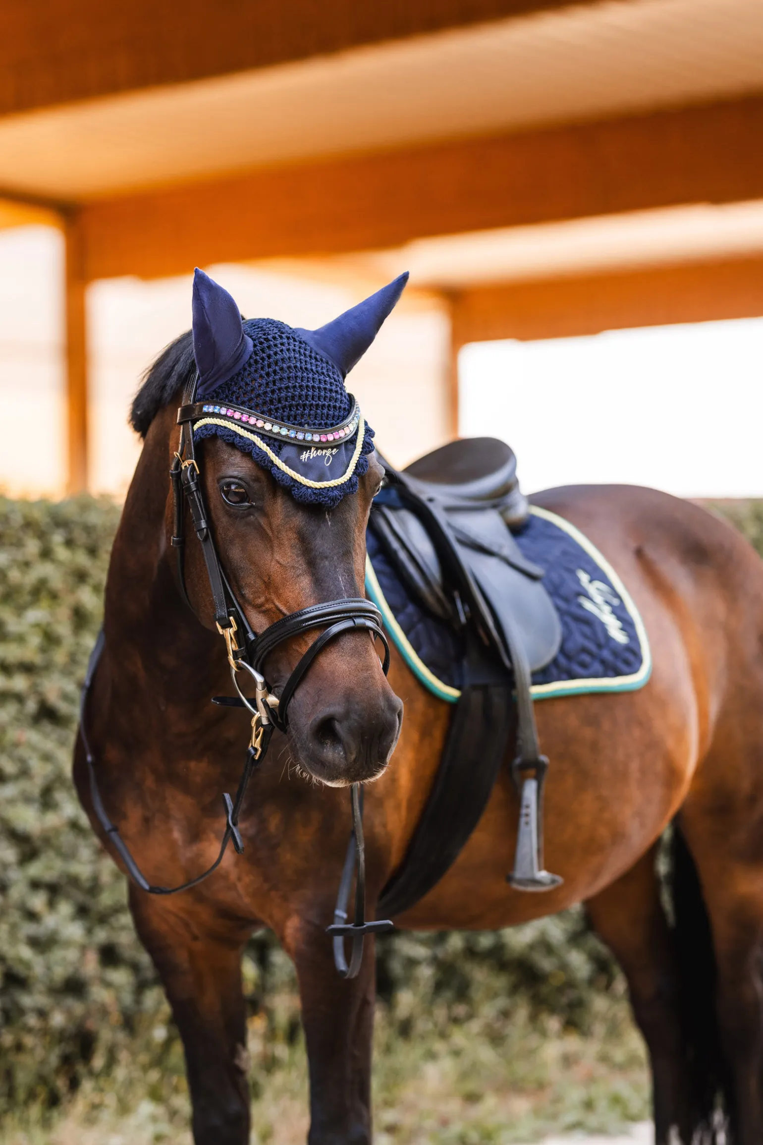 Horze Magic Carousel Part 2 ørehette