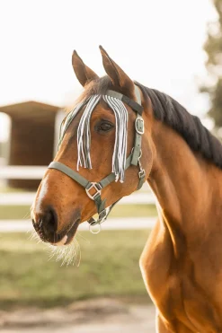 Horze Moreton grime, leietau og fluefrynser, sett