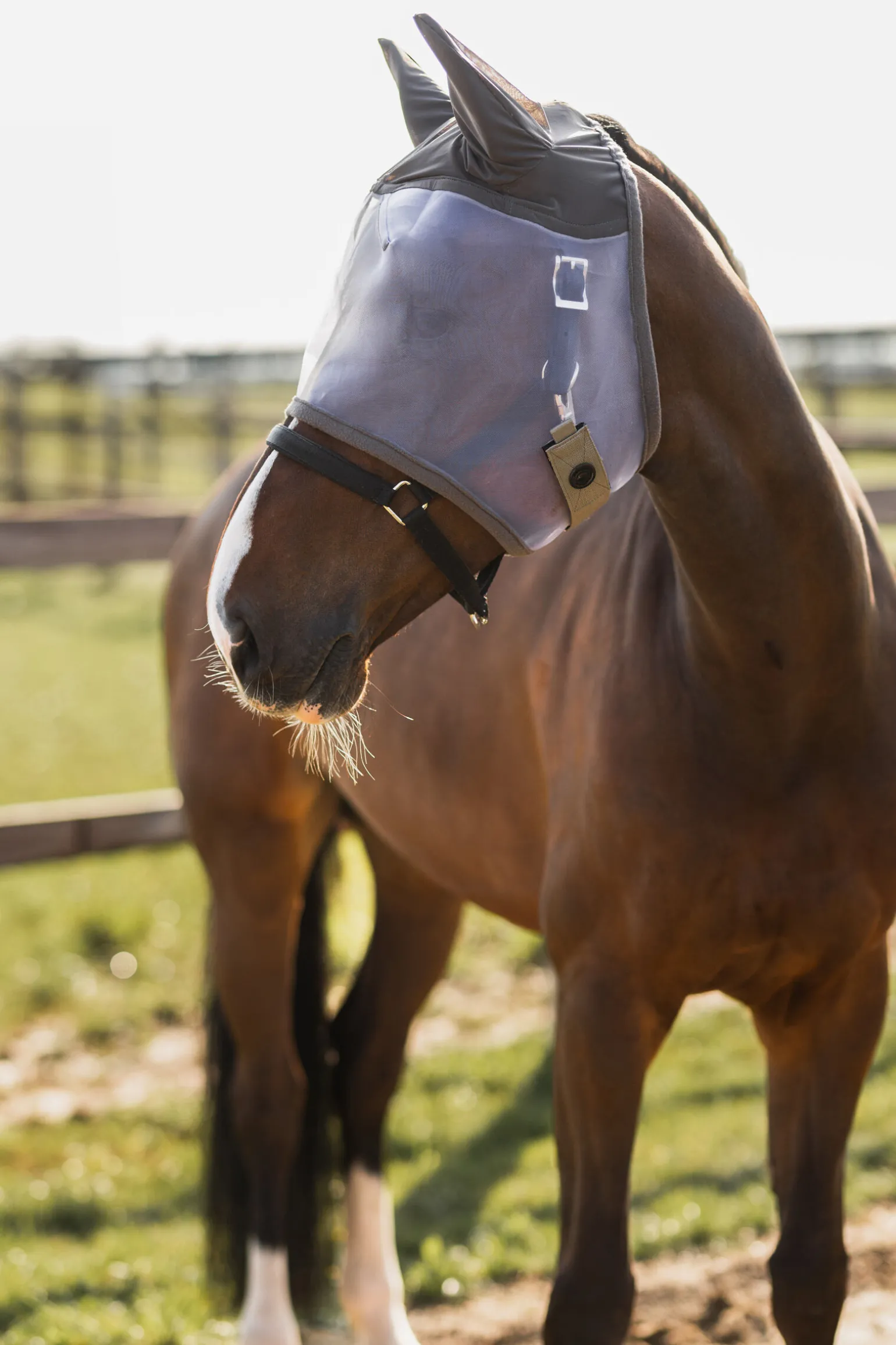 Horze Mountain Essence fluemaske