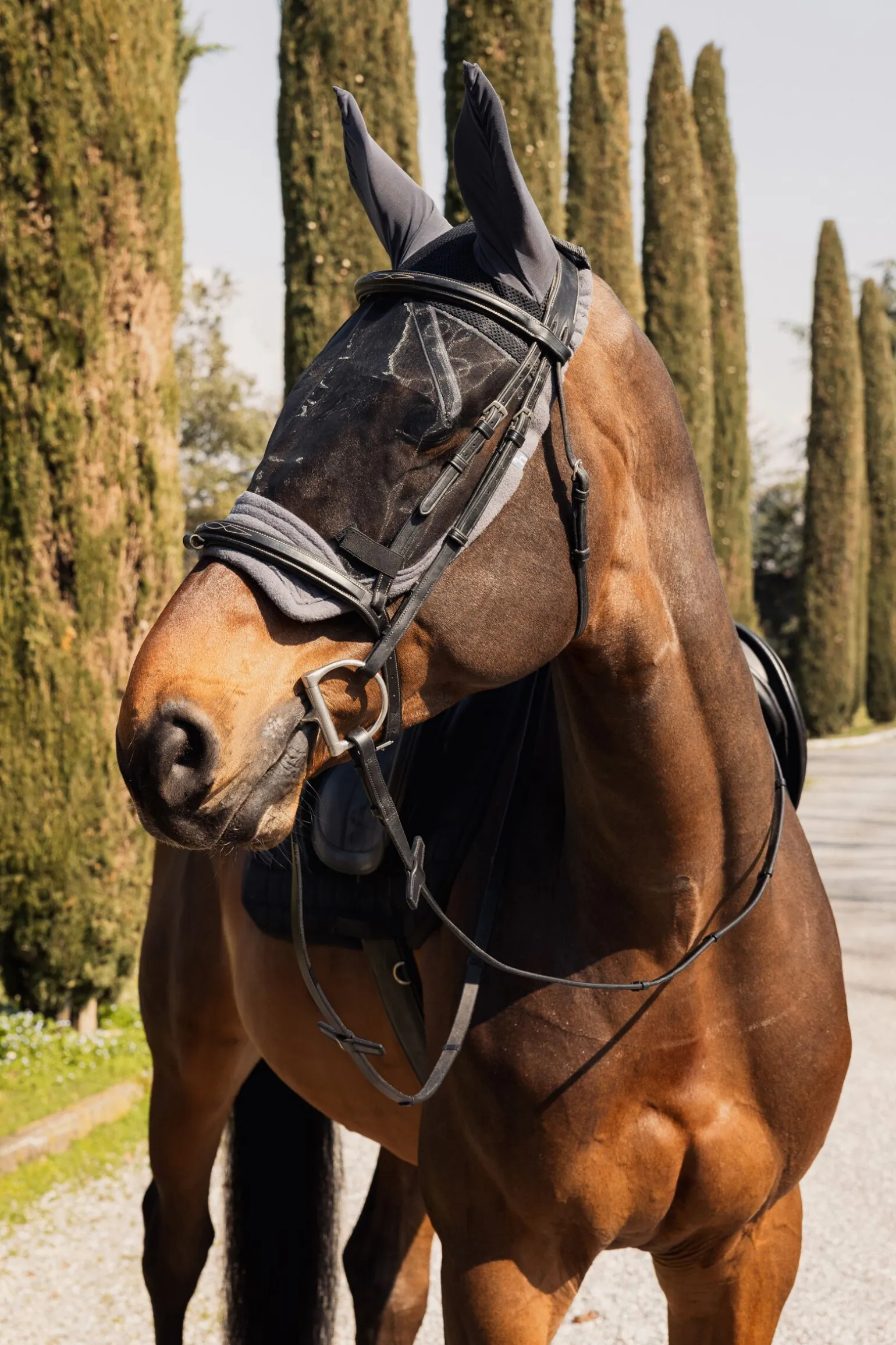Horze Mountain fluemaske til ridning