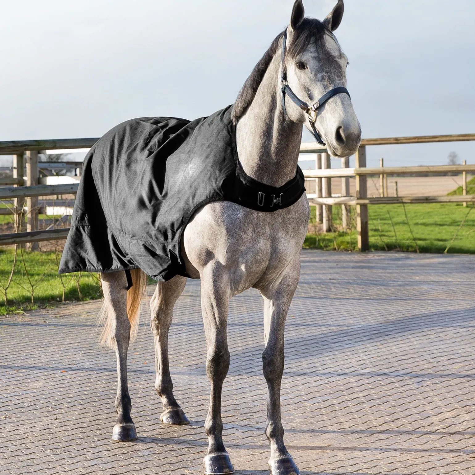 Horze Nevada Walker dekken, 200 gram