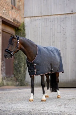 Horze Pegasus ponnidekken 200 g/m²