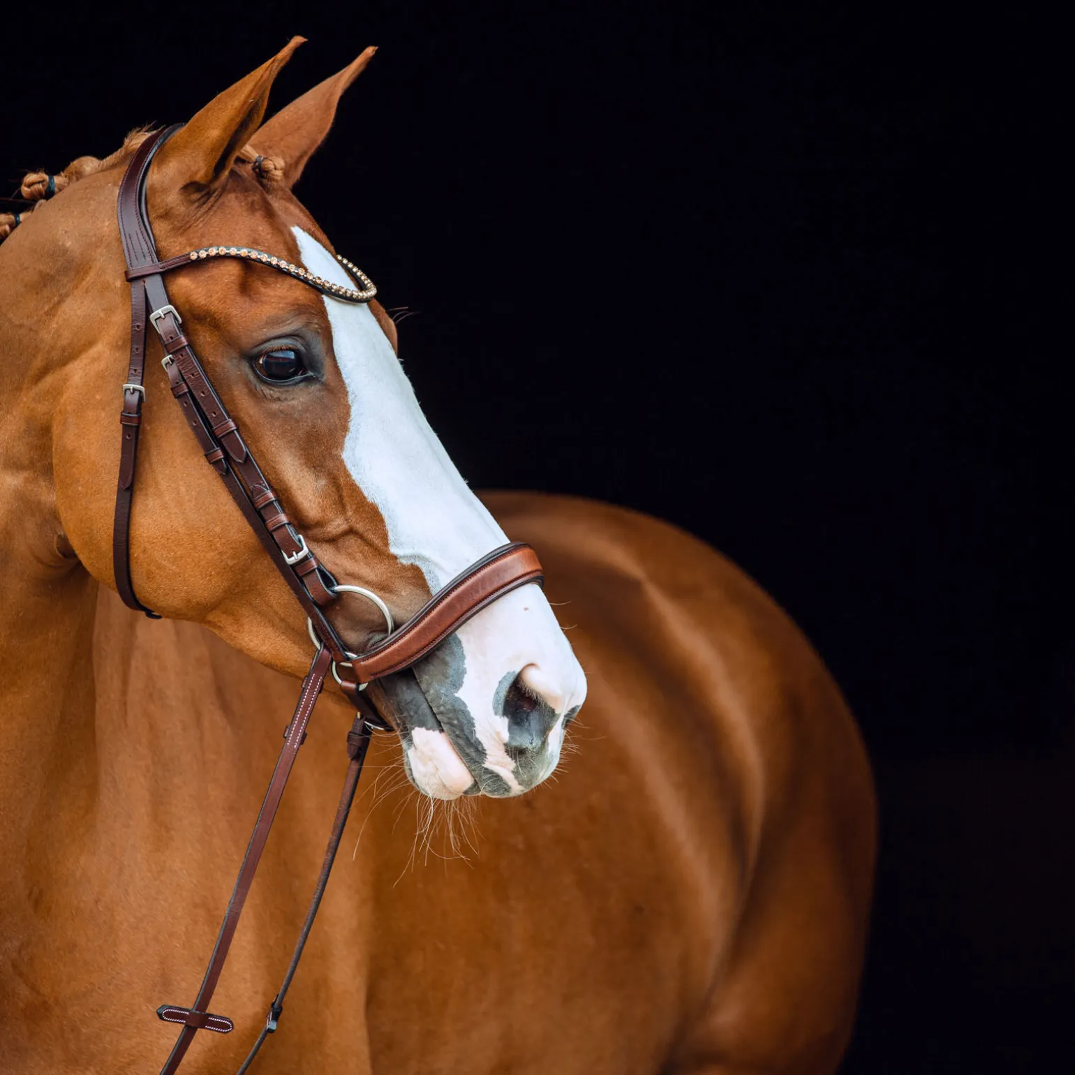 Horze Positano Hannover anatomisk hodelag