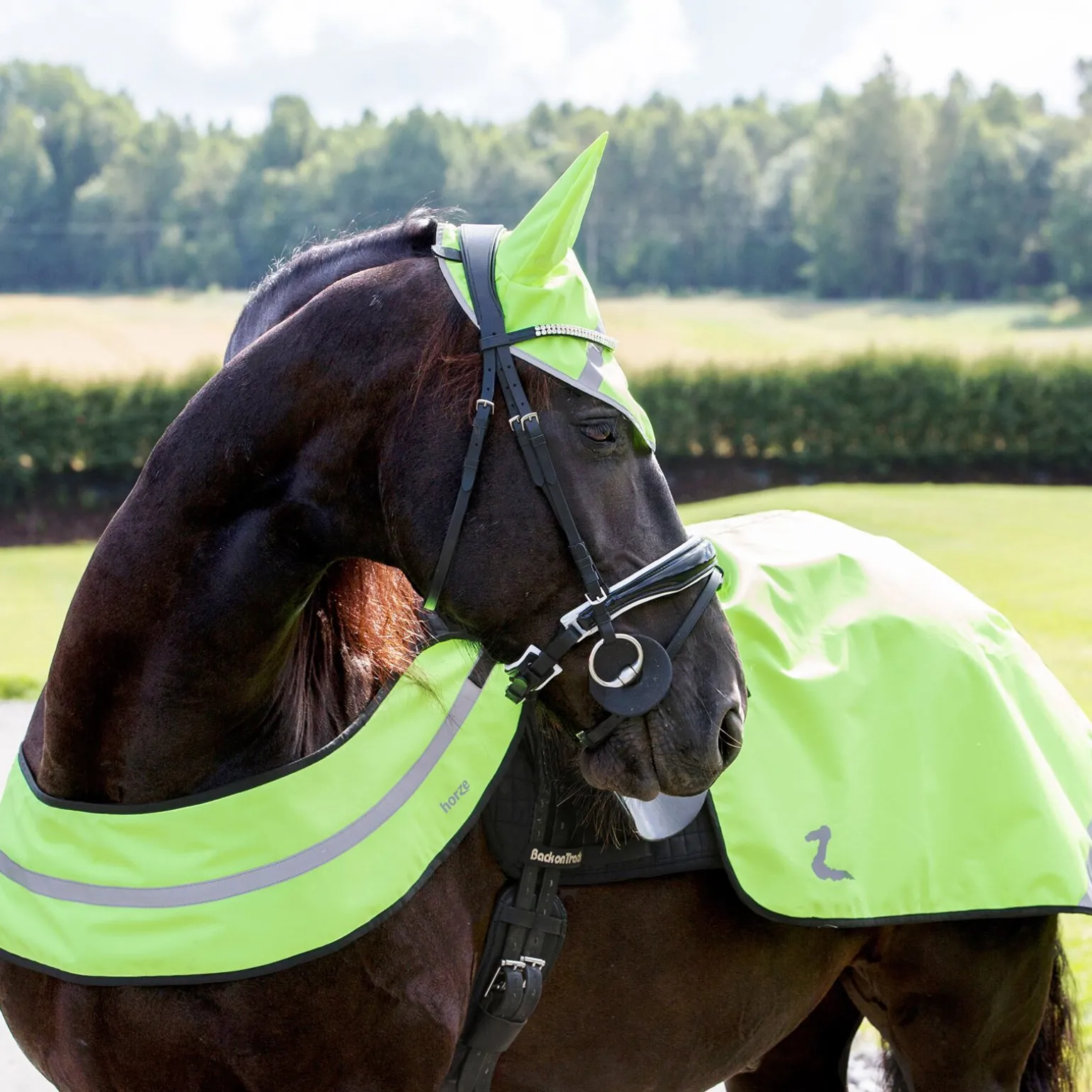 Horze reflekterende fortøy