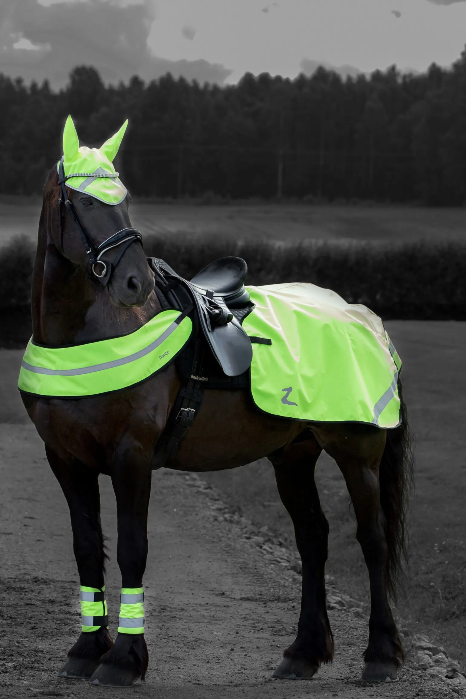 Horze ridedekken, refleks