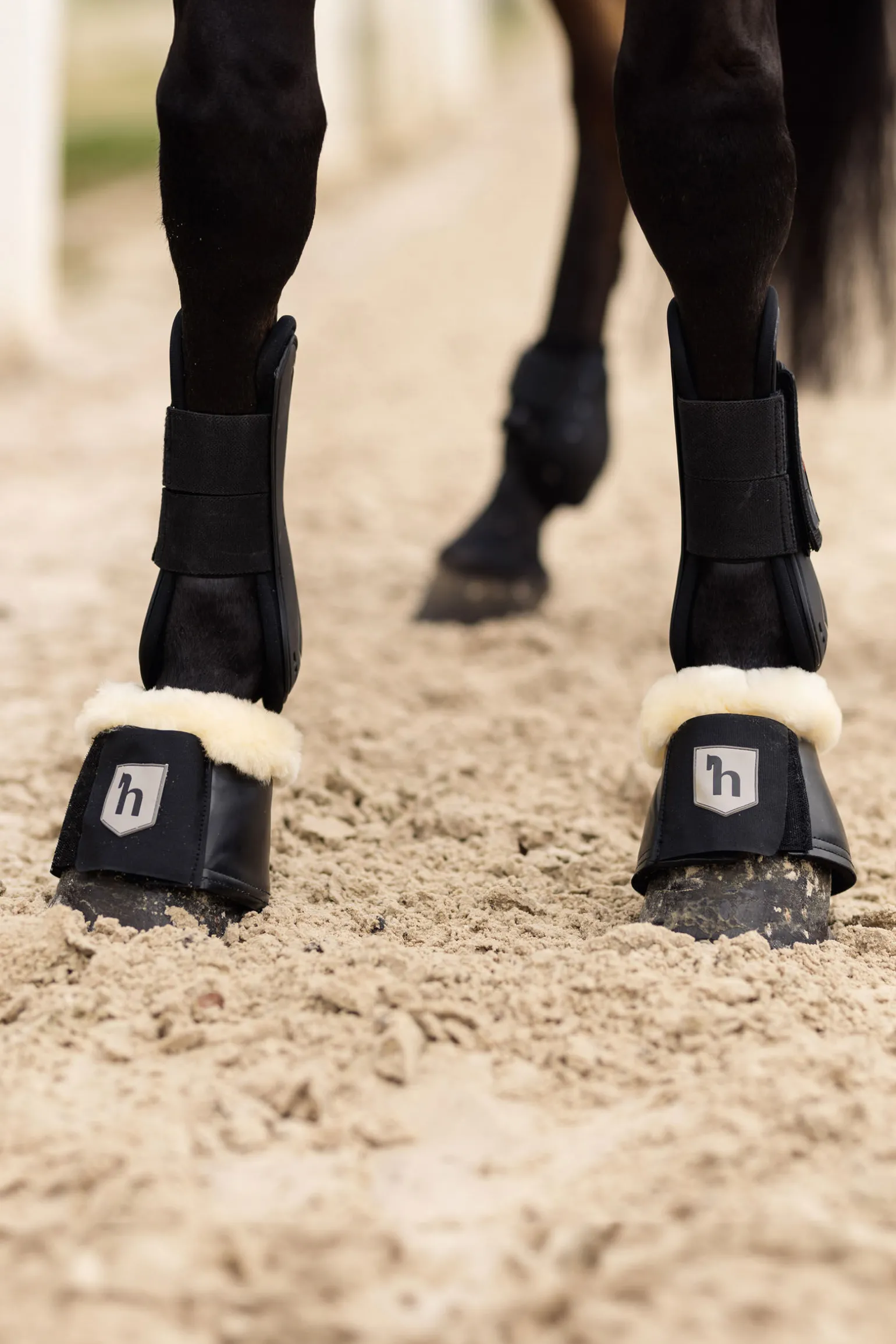 Horze Salerno kopper