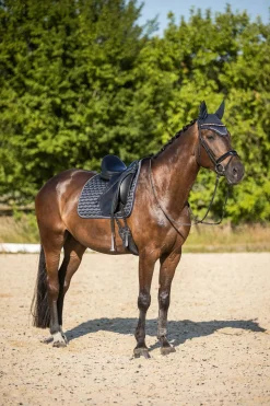 Horze Sandnes dressursjabrak