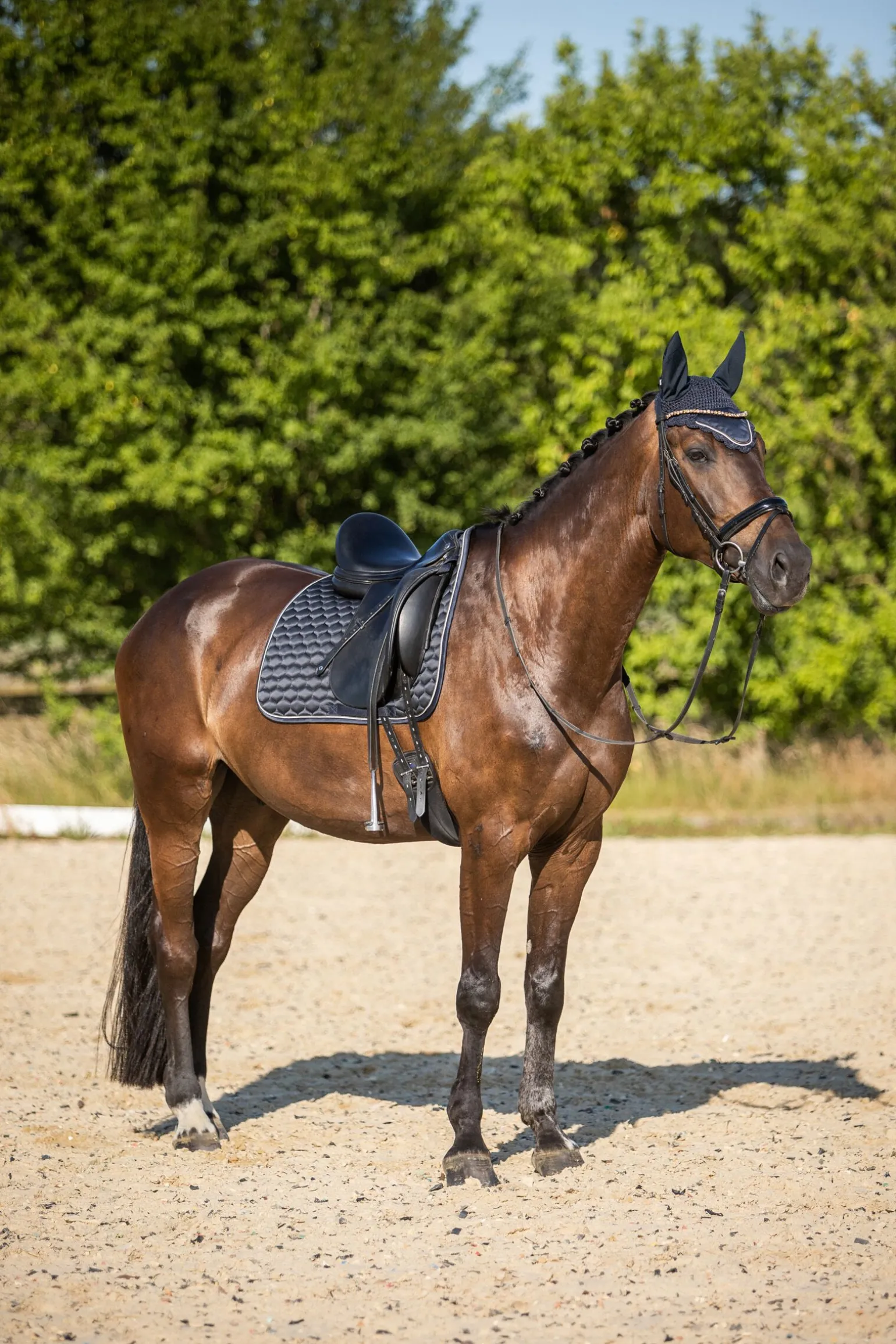 Horze Sandnes dressursjabrak