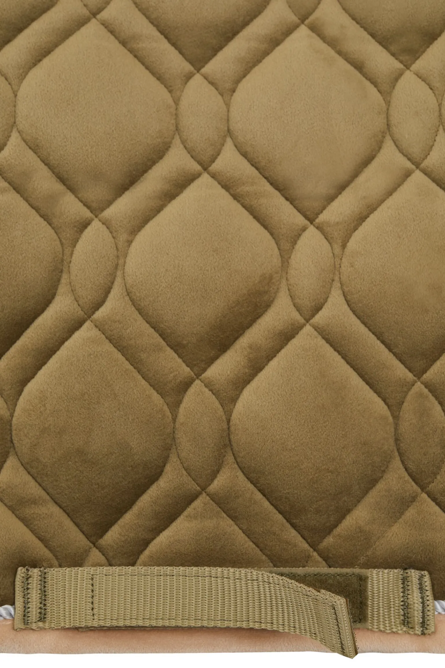 Horze St. Moritz sprangsjabrak