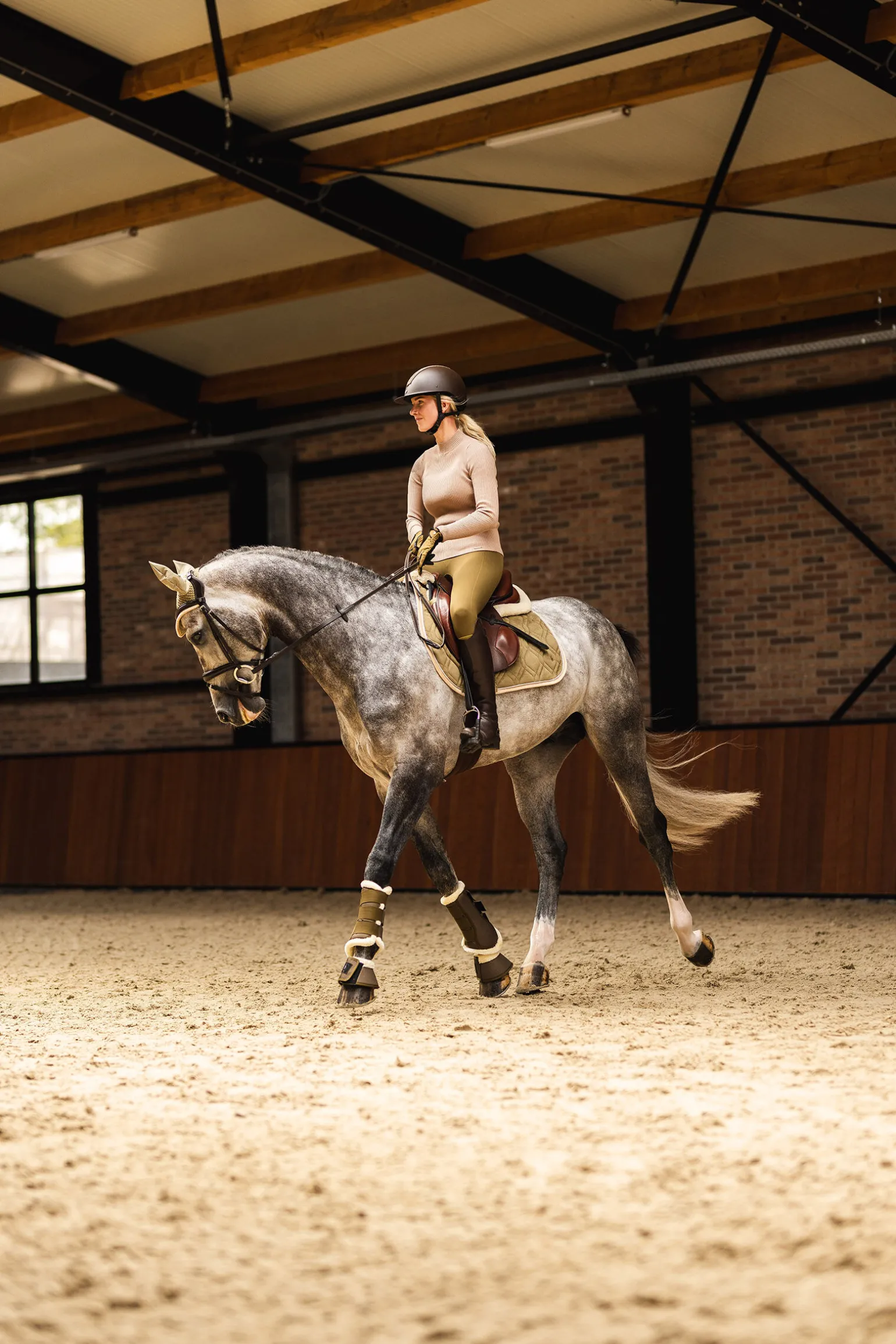 Horze St. Moritz sprangsjabrak