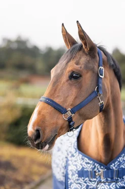 Horze Urban Vitality grime