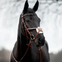 Horze Valencia hodelag med meksikansk nesereim