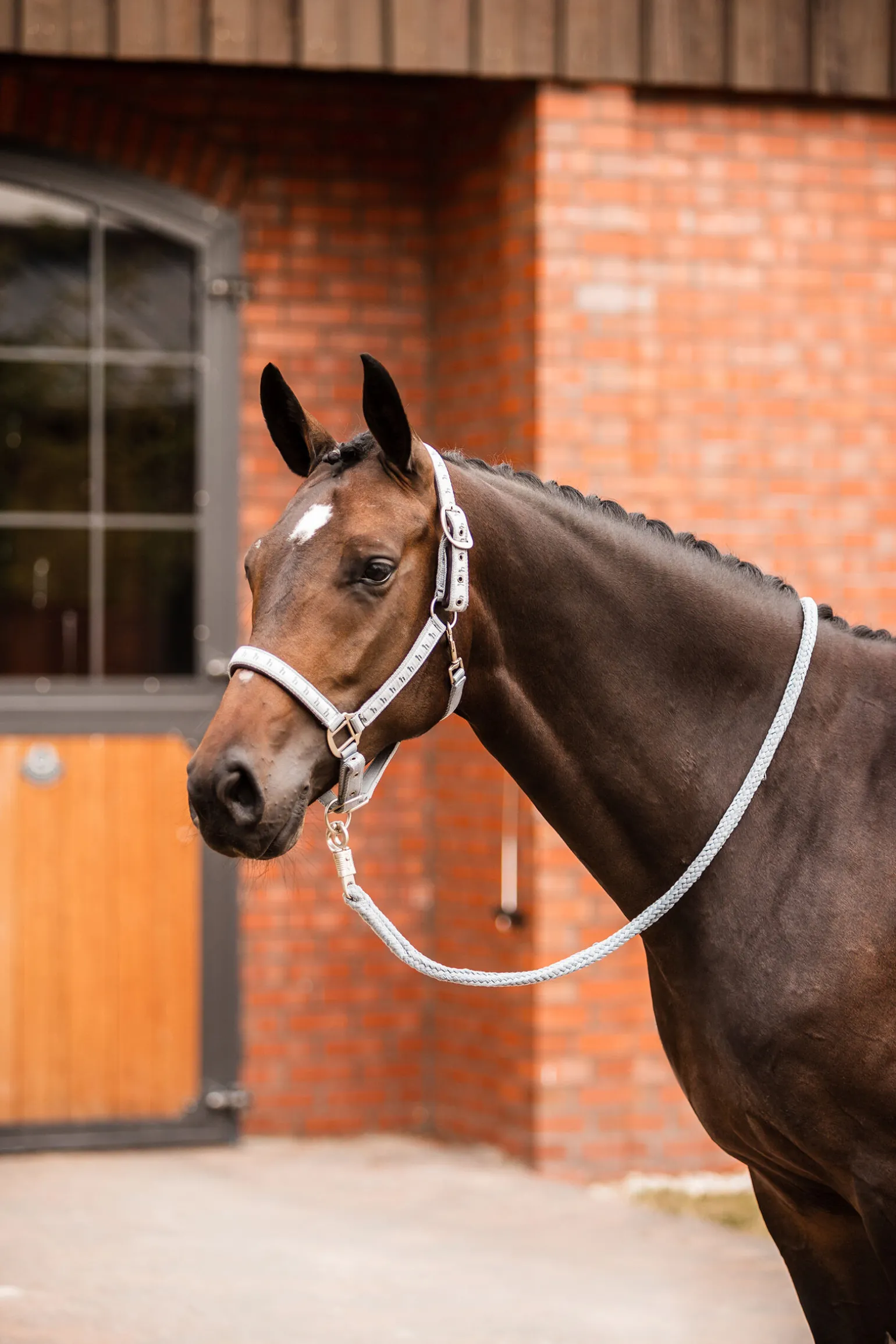 Horze Victoria grime