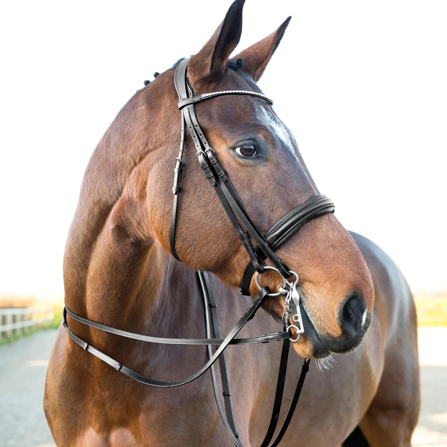 Horze Vienna anatomisk kandarhodelag