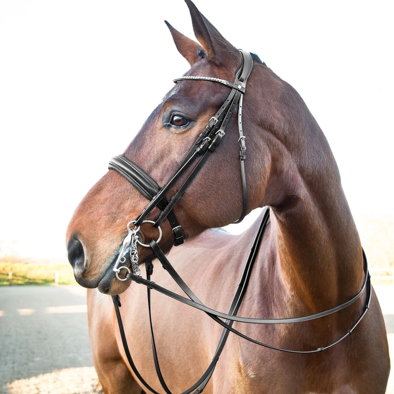Horze Vienna anatomisk kandarhodelag